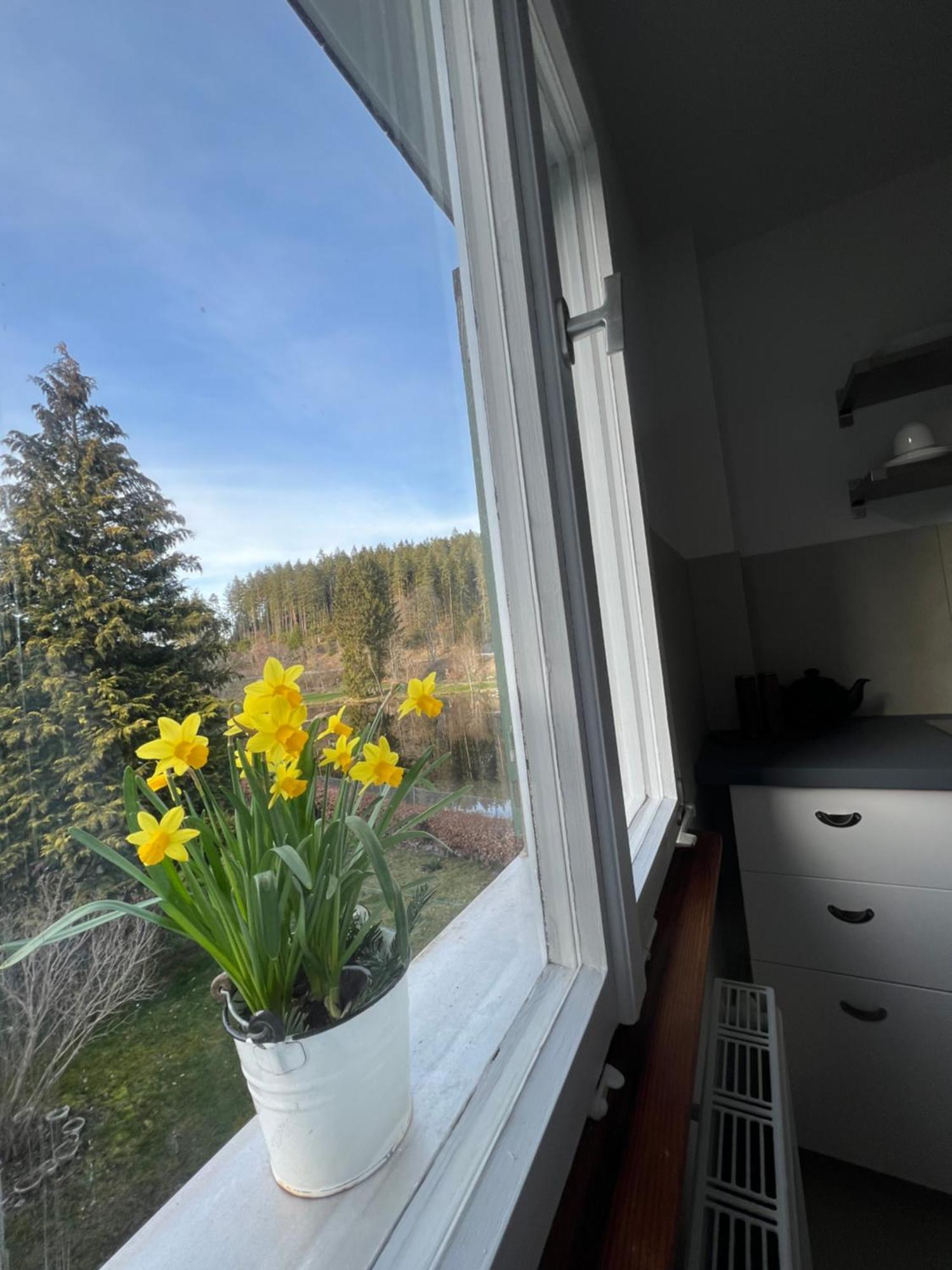 Haus Am - Pur * Friedenweiler